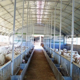 Быстровозводимые овчарни - 2