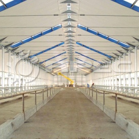 Строительство свинарников