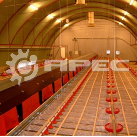 Птицеферма для гусей