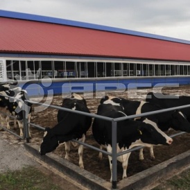 Сельскохозяйственные здания - 1