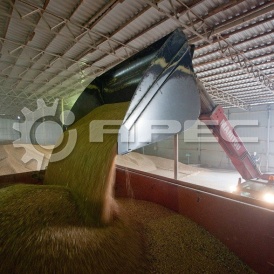 Ток для зерна - 3