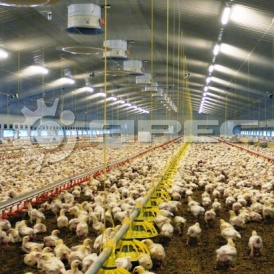 Металлические курятники для птицеводства - 3