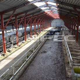 Быстровозводимые фермы для КРС - 5