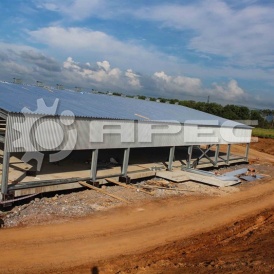 Постройка свинокомплексов