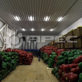 Овощехранилища - 3