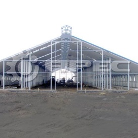 Постройка мини птицефермы