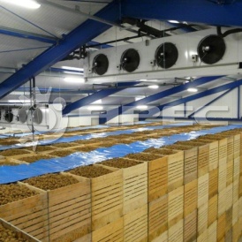 Овощехранилища - 6